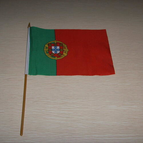 Handvlag 20x30cm - compleet naar wens image